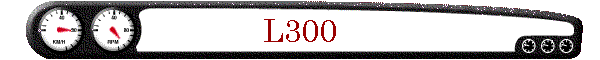 L300