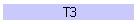 T3