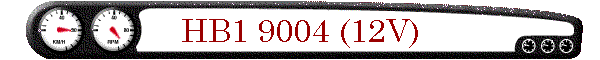 HB1 9004 (12V)