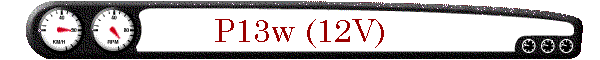 P13w (12V)