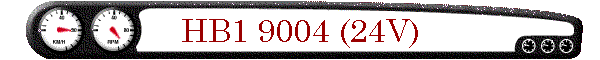 HB1 9004 (24V)